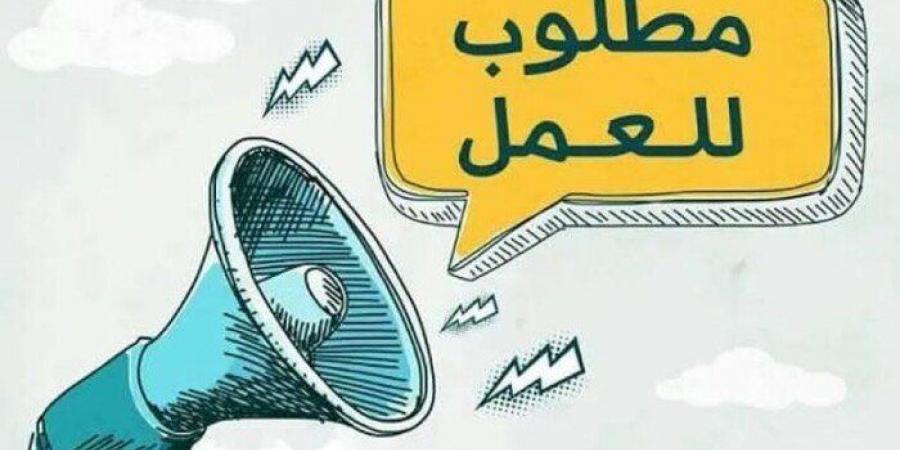وظائف
      صندوق
      مكافحة
      وعلاج
      الإدمان..
      لينك
      وخطوات
      التقديم - تكنو بلس