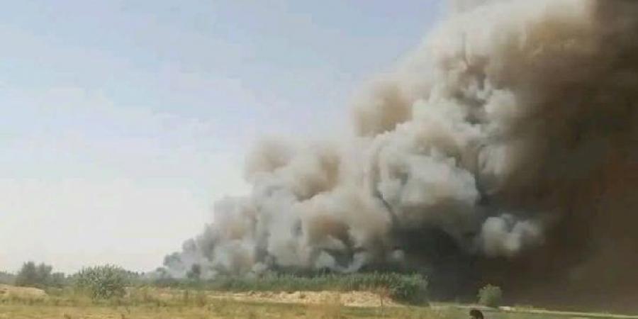 جهود
      مكثفة
      للسيطرة
      على
      حريق
      نشب
      في
      الغابات
      الشجرية
      بالجبلاو
      بقنا - تكنو بلس