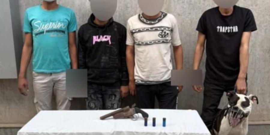 الداخلية
تكشف
تفاصيل
مشاجرة
بالأسلحة
النارية
بالجيزة
 ..
فيديو  - تكنو بلس