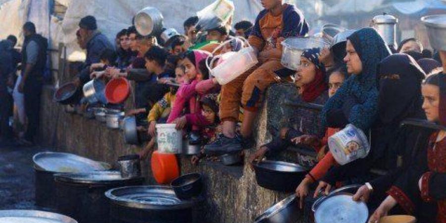 الصحة
      العالمية:
      الوضع
      في
      غزة
      كارثي
      ونصف
      مليون
      شخص
      يواجهون
      خطر
      المجاعة - تكنو بلس