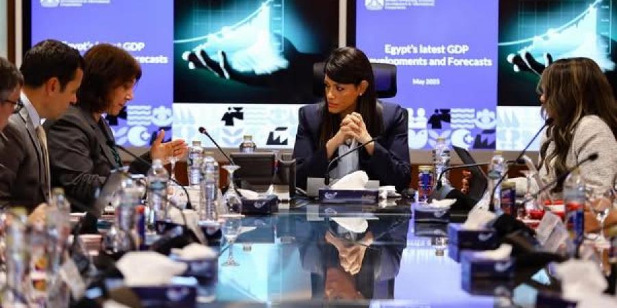 «المشاط»:
تنفيذ
صارم
لحوكمة
الاستثمارات
العامة - تكنو بلس