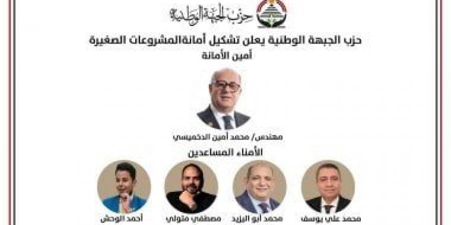 “الجبهة الوطنية” يعلن تشكيل أمانة المشروعات الصغيرة برئاسة الدخميسى