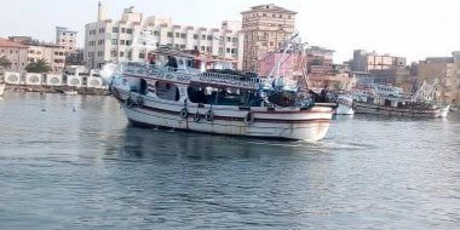 الحبس والغرامة عقوبة الإخلال بالاشتراطات البيئية لإنشاء الأقفاص السمكية