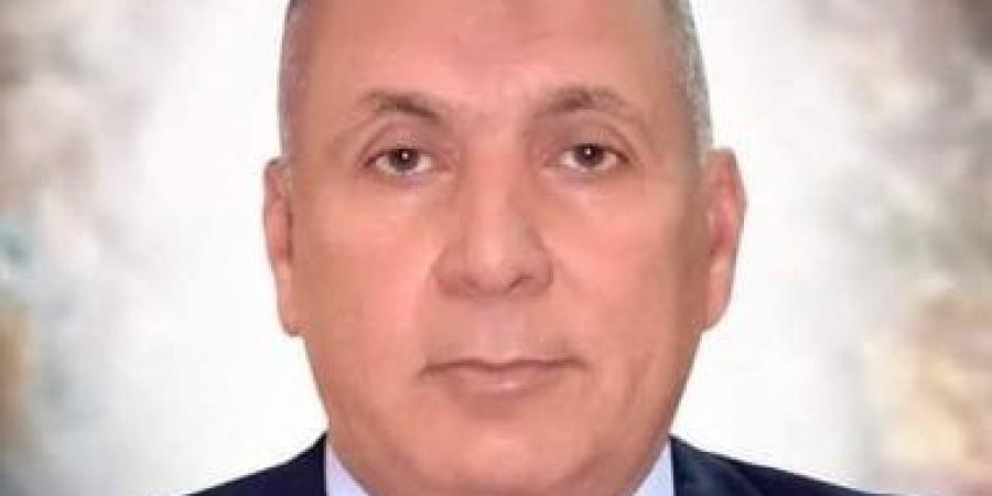 محافظ الوادى الجديد: دعم مجمع الكهرباء بالفرافرة بوحدتين توليد جديدتين بـ44 مليون جنيه