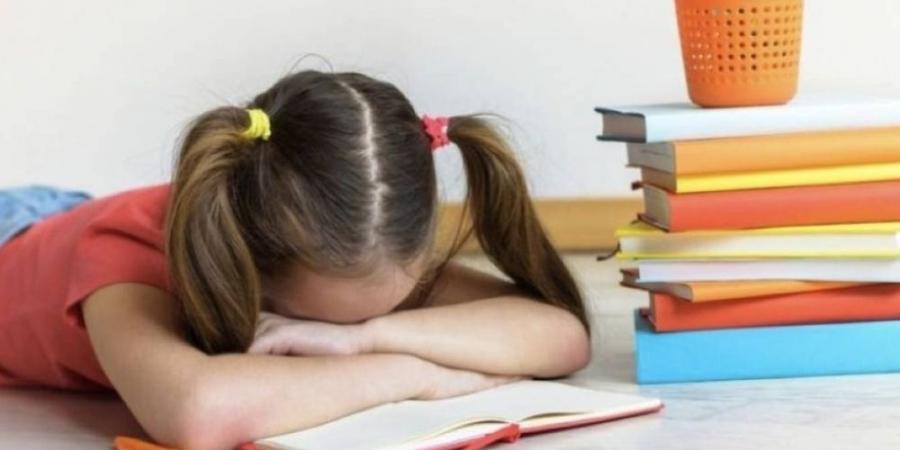 قراءة جهرية وشفهية وتجزئة مواد.. تسهيلات لاختبارات طلاب الصعوبات - تكنو بلس