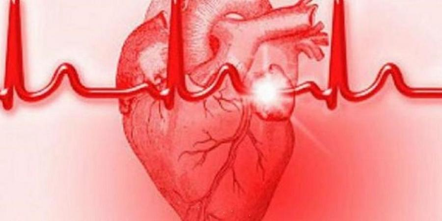 نبضات
قلب
المرأة
والرجل
..
دراسة
تكشف
الفروق - تكنو بلس