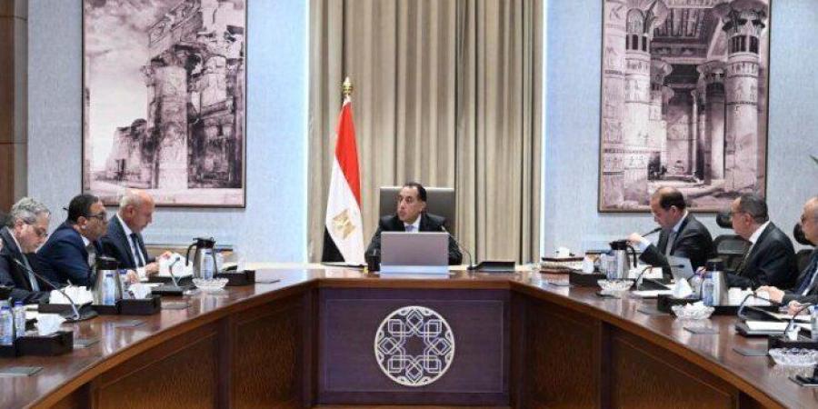 رئيس
      الوزراء
      يتابع
      الموقف
      التنفيذي
      لتطوير
      المنظومة
      الجمركية
      وإجراءات
      التسجيل
      المُسبق
      للشحنات - تكنو بلس