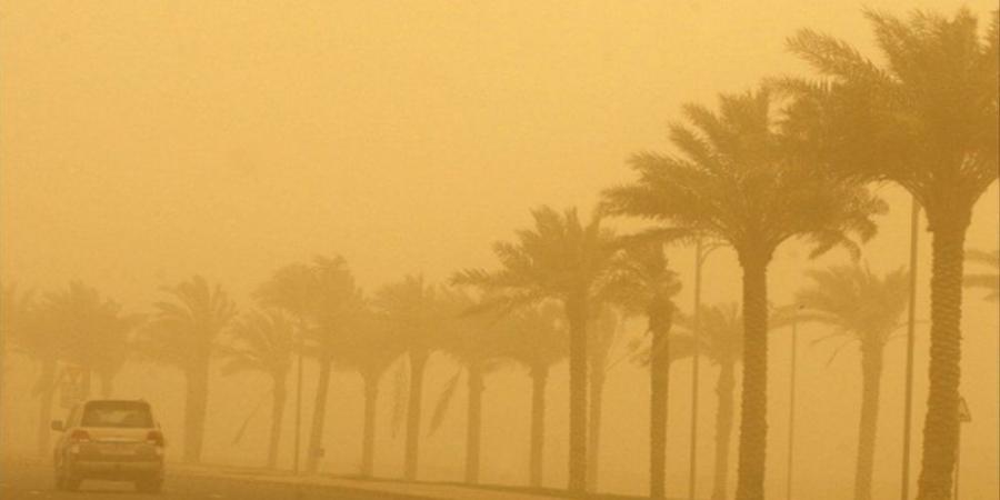 طقس
الشرقية..
تنبيه
من
أتربة
مثارة
ورياح
وشبه
انعدام
في
الرؤية - تكنو بلس