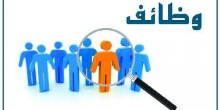محافظة قنا تعلن عن 40 وظيفة لسائقين بإدارة المرور.. اعرف التفاصيل