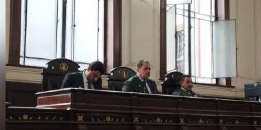 تأجيل محاكمة عاطل بتهمة قتل فتاة فى منطقة الأميرية لـ 15 يونيو المقبل