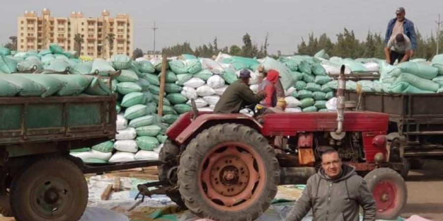 محافظ
كفرالشيخ:
توريد
178
ألف
طن
من
الأقماح
المحلية
حتى
الآن - تكنو بلس