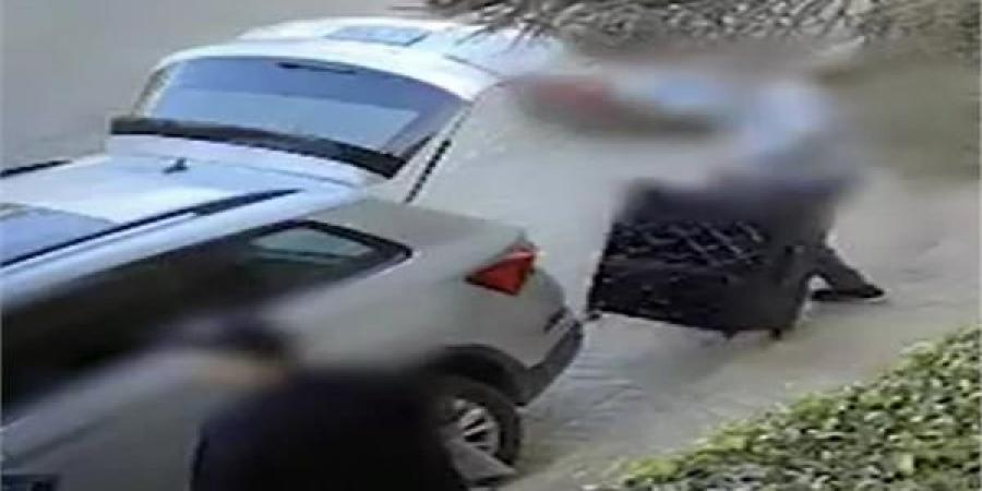 كم
      شخصًا
      شارك
      في
      سرقة
      فيلا
      نوال
      الدجوي؟..
      فيديو
      كاميرات
      المراقبة
      يكشف
      مفاجآت - تكنو بلس