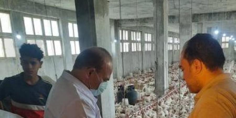 مسح شامل لمزارع فى الشرقية لرصد الحالة الصحية لثروة الداجنة