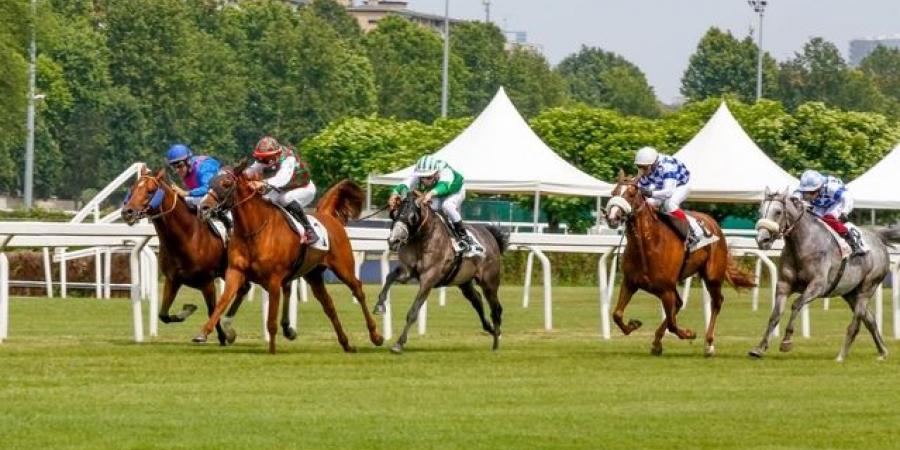 روما تستضيف المحطة الخامسة لكأس رئيس الدولة للخيول العربية - تكنو بلس