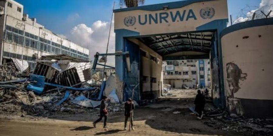 متحدثة
      الأونروا:
      الوضع
      فى
      غزة
      مروع
      ولا
      يغتفر - تكنو بلس