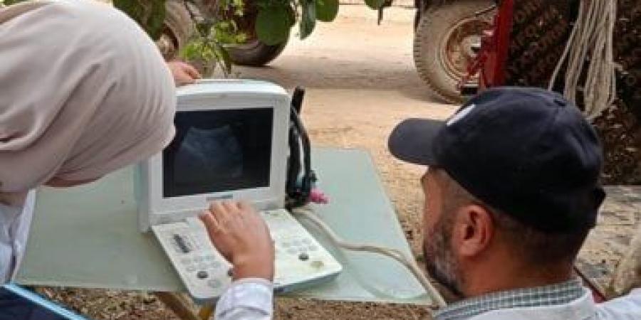 الكشف على الدواجن فى قافلة بيطرية مجانية شاملة بقرية العنانية بدمياط