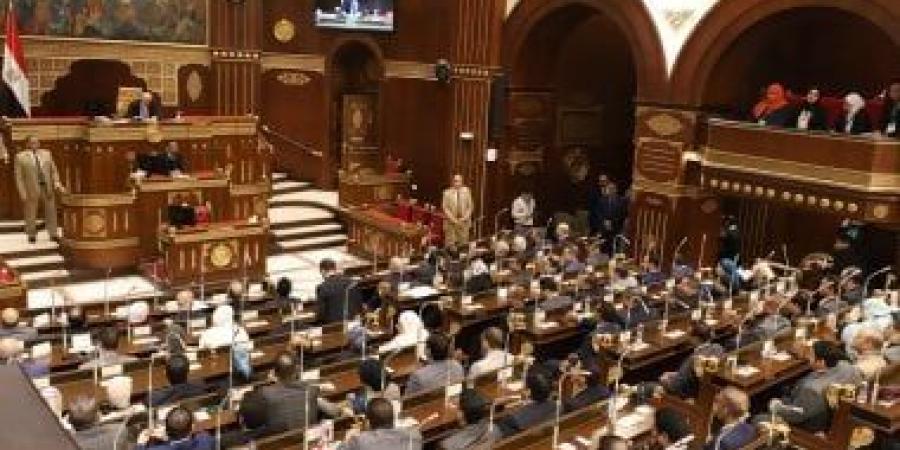"مصر الحديثة" يطالب بزيادة تمثيل المرأة بالشيوخ.. وفوزى: الكرة فى ملعب المجلس