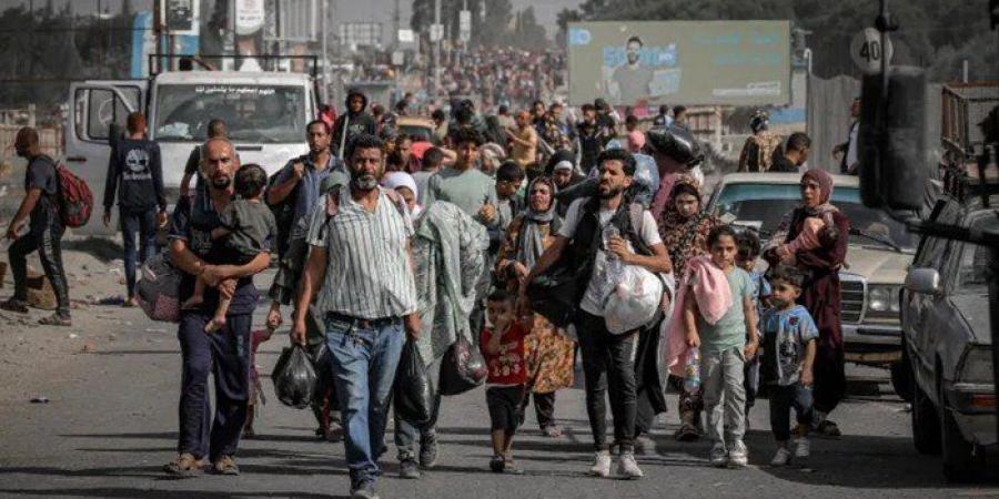 المرصد
      الأورومتوسطي:
      الاحتلال
      الإسرائيلي
      يصعد
      التهجير
      والتجويع
      في
      غزة
      تمهيدًا
      لطرد
      جماعي
      للفلسطينيين - تكنو بلس
