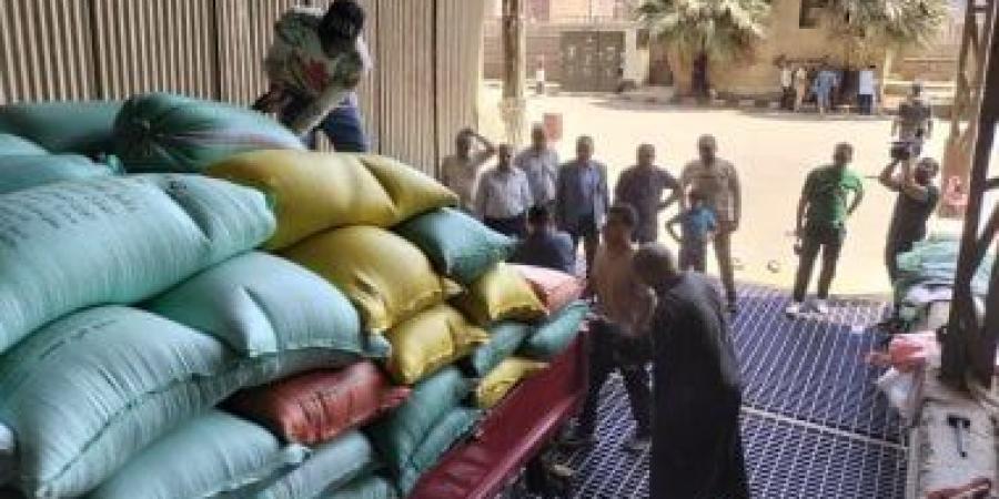 محافظ الدقهلية: توريد 250 ألف طن قمح محلى منذ بداية الموسم وحتى الآن