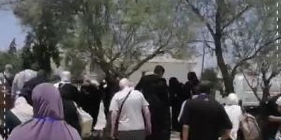 بالفيديو
      ..
      الحجاج
      الأردنيون
      يهمون
      لأداء
      صلاة
      الظهر
      قبيل
      انطلاقهم
      لأداء
      مناسك
      الحج
      من
      منطقة
      الجيزة - تكنو بلس