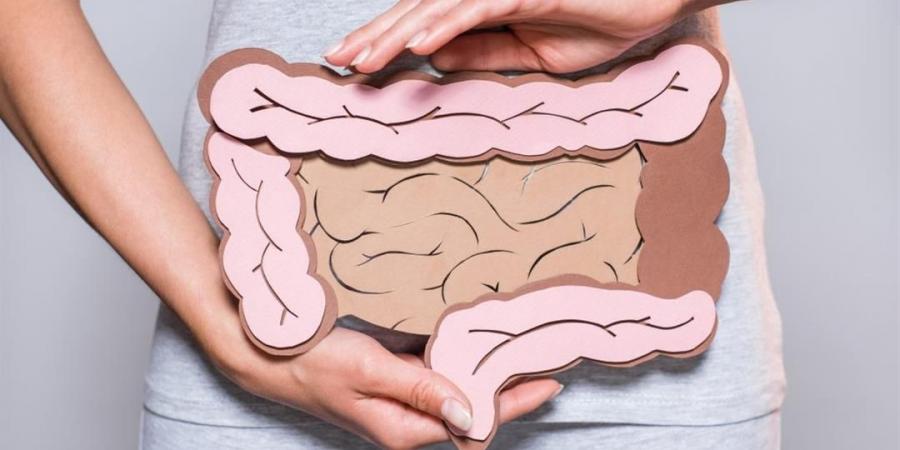 نصائح
للحفاظ
على
صحة
الأمعاء
وتعزيز
المناعة - تكنو بلس