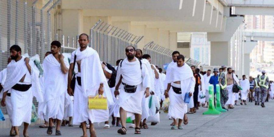 رئيس
      اللجنة
      العليا
      للحج
      تتفقد
      أوضاع
      حجاج
      السياحة
      المصريين
      بالمدينة
      المنورة - تكنو بلس