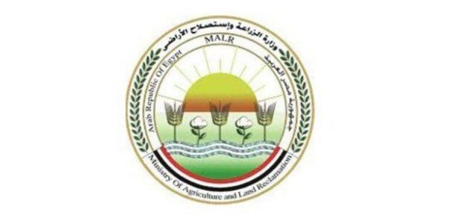 «الزراعة»
      تُطلق
      7
      منافذ
      مُتحركة
      لبيع
      مُنتجاتها
      بأسعار
      مُخفضة - تكنو بلس