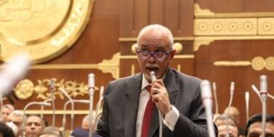 النائب حازم الجندي: تحرك 4 دول أوروبية لمنح فلسطين العضوية الكاملة بالأمم المتحدة نقلة دبلوماسية