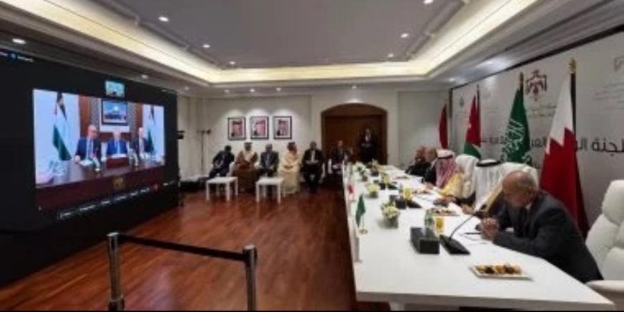 وزير الخارجية يشارك فى اجتماع اللجنة الوزارية العربية الإسلامية مع ملك الأردن - تكنو بلس