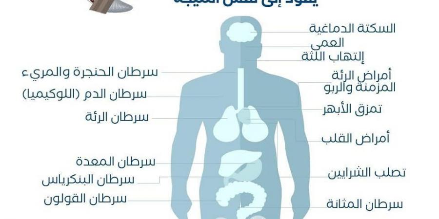 رؤيا
      الإخباري
      |
      الأردن
      يطلق
      حملة
      توعوية
      للحد
      من
      أضرار
      التدخين
      وتعزيز
      الوقاية-القناص
      الاخباري - تكنو بلس