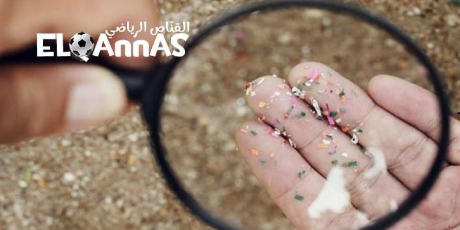 دراسة
      تحذّر
      ..
      البلاستيك
      النانوي
      يهدد
      الكبد
      ويخل
      بوظائف
      السكر
      في
      -القناص
      الاخباري - تكنو بلس