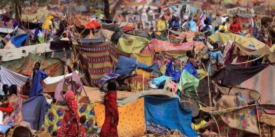 مفوضية
      اللاجئين
      تحذر
      من
      خطورة
      تضاعف
      أعداد
      اللاجئين
      السودانيين
      في
      تشاد - تكنو بلس