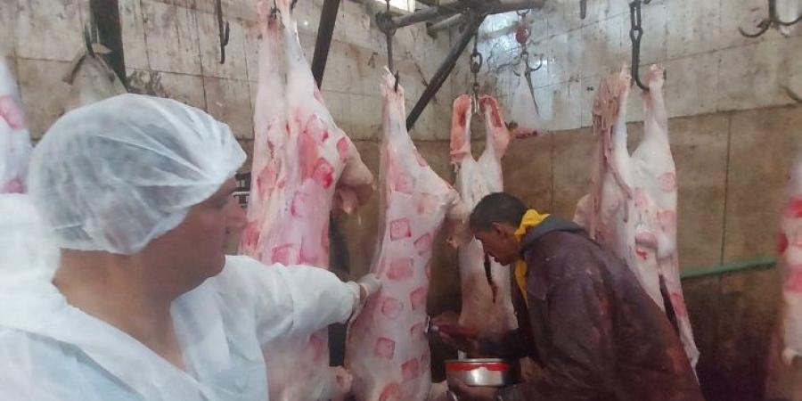 بيطرى
البحر
الأحمر
ترفع
درجة
الاستعداد
لعيد
الاضحى - تكنو بلس