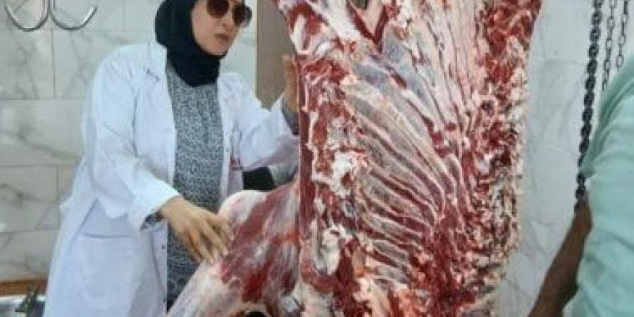 ضبط 4 أطنان و400 كيلو لحوم ودواجن مخالفة بالشرقية
