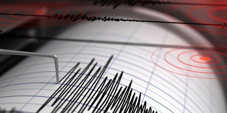 على عمق 116 كيلومترا.. زلزال بقوة 4.5 درجة يضرب الأرجنتين - تكنو بلس