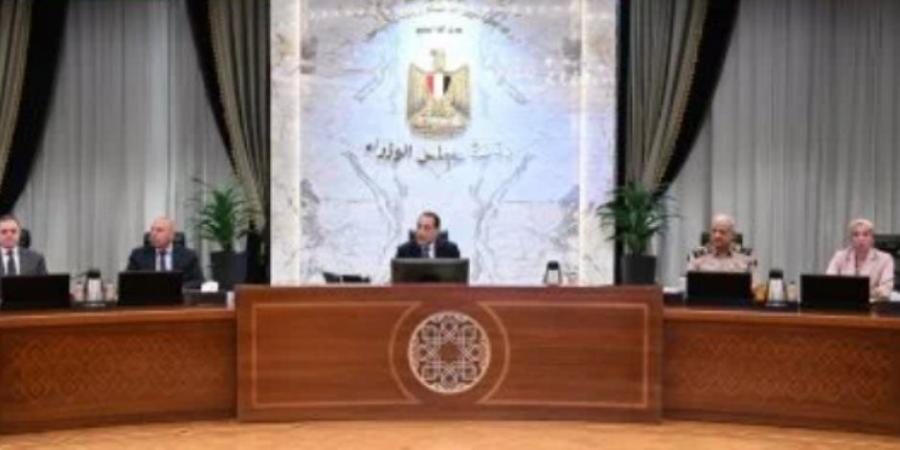 مجلس الوزراء يستعرض إجراءات البث التجريبى للمنصة الإلكترونية لتراخيص الاستثمار - تكنو بلس