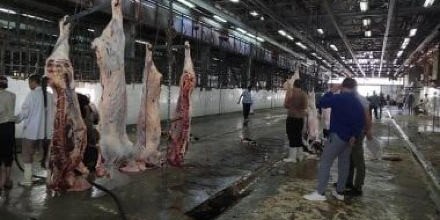 احذر.. القانون يعاقب ذبح الأضاحى خارج المجازر الرسمية بالحبس سنة