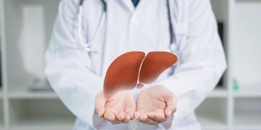 علاج
تجريبي
جديد
يفتح
الأمل
أمام
مرضى
تليف
الكبد - تكنو بلس