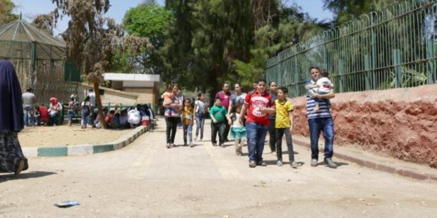 تعرف على موعد افتتاح حديقة حيوان الجيزة بعد انتهاء أعمال التطوير - تكنو بلس