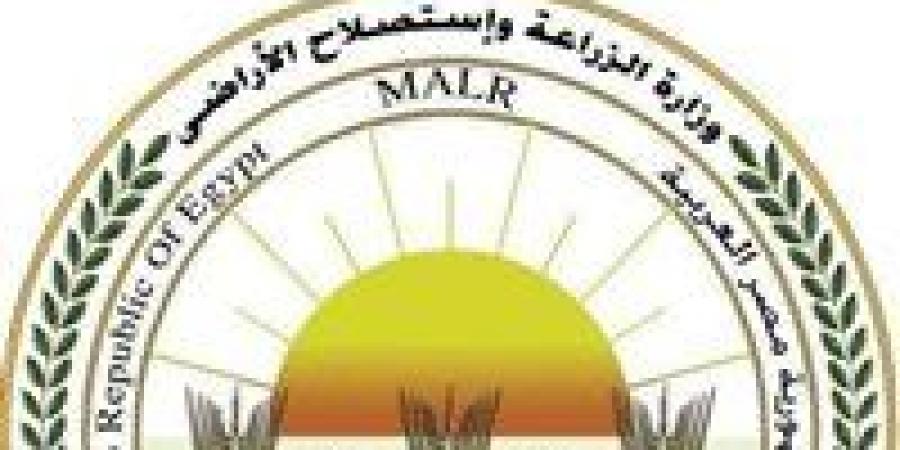 الذبيح
      بالمجان..
      الزراعة:
      المجازر
      الحكومية
      تستقبل
      أكثر
      من
      9800
      أضحية
      خلال
      أول
      أيام
      العيد - تكنو بلس