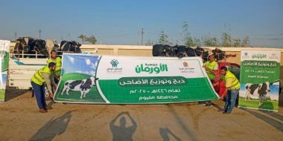 التضامن الاجتماعى فى الفيوم تشرف على ذبح الأضاحى لتوزيعها على الأولى بالرعاية