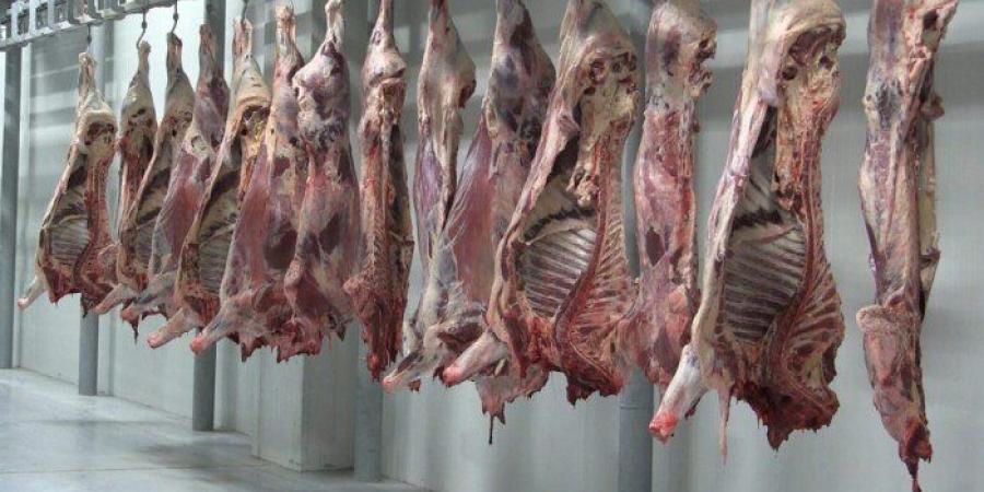 محافظ
      البحر
      الأحمر
      يشدد
      على
      ذبح
      الأضاحي
      بالمجازر:
      بيئة
      نظيفة
      وصحة
      عامة
      في
      العيد - تكنو بلس