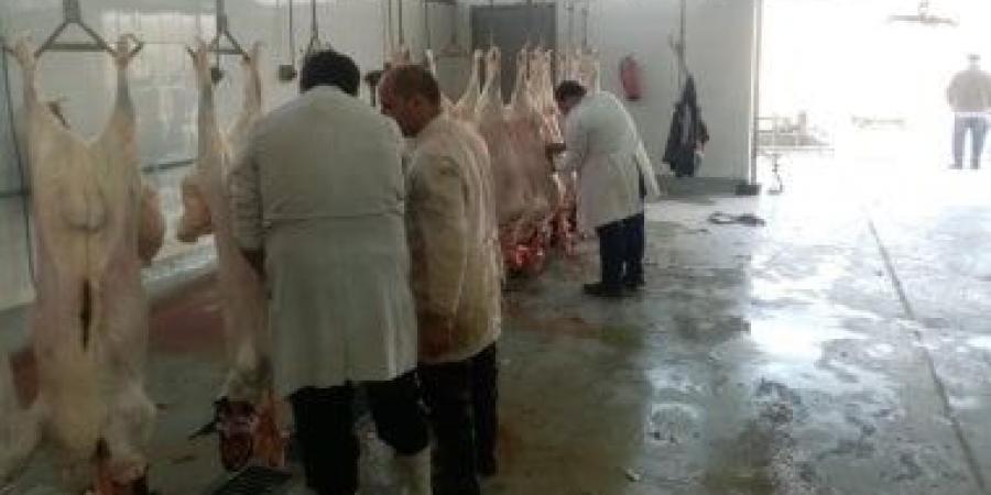 بيطري الوادي الجديد: تجهيز 13 مجزر ونقطة ذبح طوال أيام عيد الأضحى المبارك