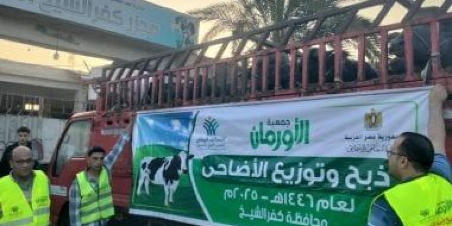 استمرار ذبح وتوزيع لحوم الأضاحى على الأسر الأولى بالرعاية فى كفر الشيخ