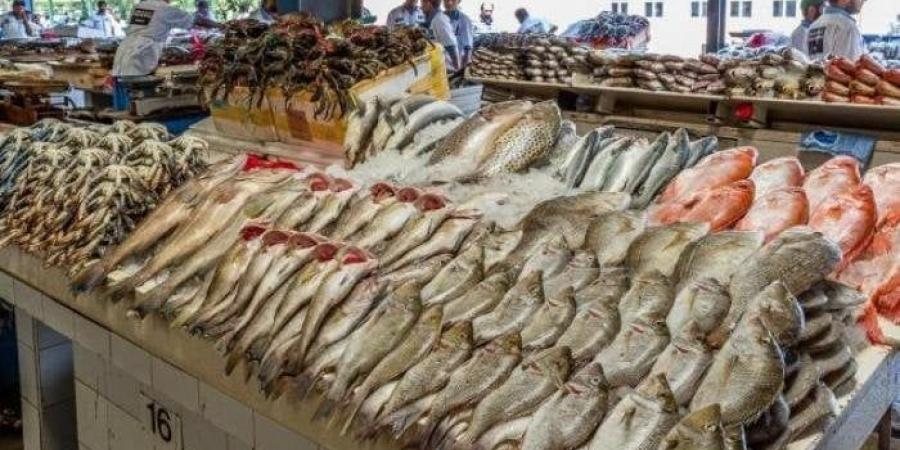 أسعار
      السمك
      والجمبري
      اليوم
      السبت
      7
      يونيو
      2025 - تكنو بلس