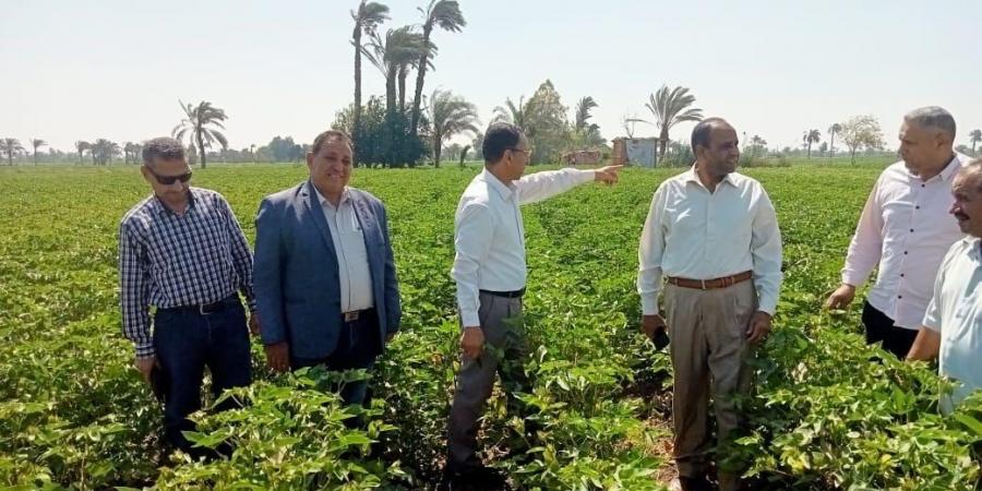 في
      ثاني
      أيام
      العيد..
      "الزراعة"
      تتابع
      الزراعات
      وأعمال
      الجمعيات
      بالفيوم
      وبني
      سويف - تكنو بلس