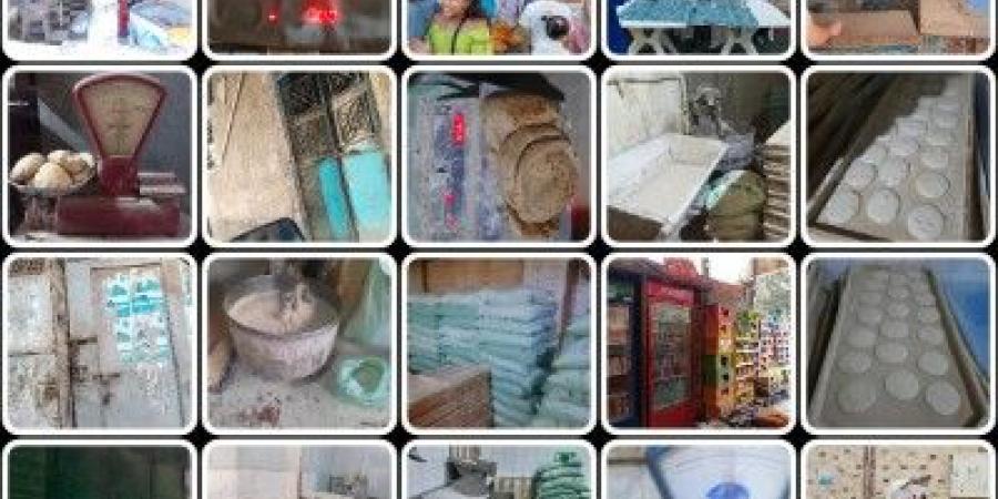 تموين
القليوبية
تحرر
396
محضرا
ومخالفة
خلال
حملات
على
الاسواق - تكنو بلس