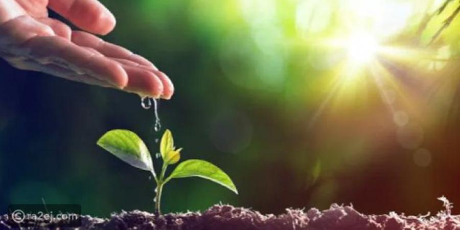 يوم البيئة العالمي 2021 - تكنو بلس