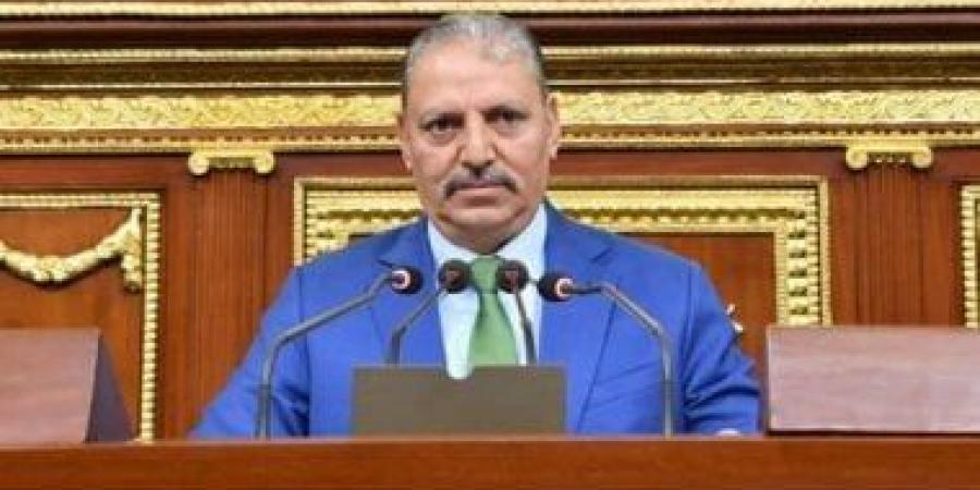 وكيل "دفاع النواب": عبور قافلة الصمود يستلزم تأشيرات دخول رسمية