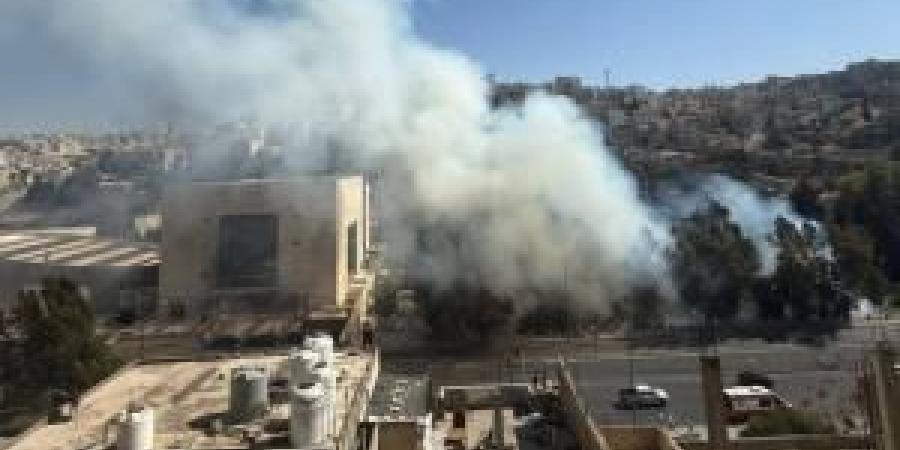 مصدر
      أمني:
      نشوب
      حريق
      أعشاب
      الجمعة
      بمنطقة
      وسط
      البلد
      ..
      فيديو
      وصور - تكنو بلس